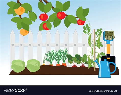 Fruit And Vegetable Garden Royalty Free Vector Image