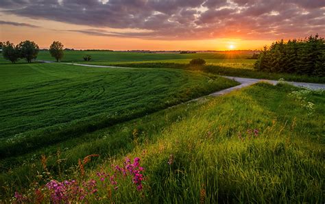 Picture Nature Fields Scenery Sunrises And Sunsets Grass