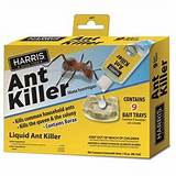 Images of Harris Home Pest Control Kills Stink Bugs