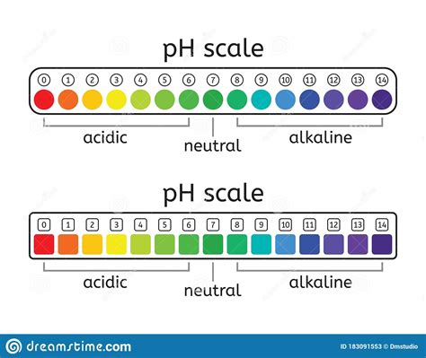 Vector Ph Scale Set Of Acidic Neutral And Alkaline Value Chart Stock