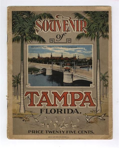 Pin By Cindy Wagner On Florida Vintage Florida Tampa Bay Hotels Florida