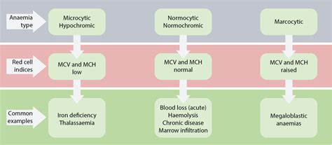 Microcytic Normocytic Macrocytic Anemia