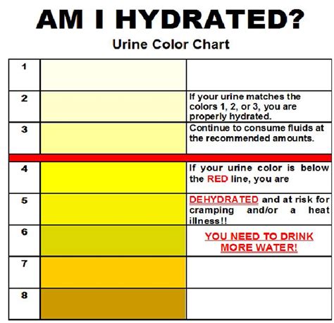 Are You Hydrated Cflo Urine Color Chart Center For Lost Objects Urine