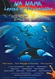 For Animal Lovers: Na Nai'A, Legend of the Dolphins, a Documentary ...