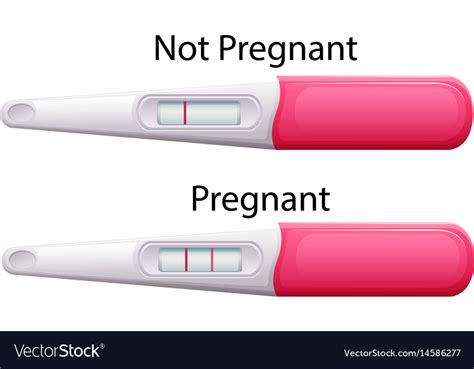 If you're well, it's really important you go to all your appointments and scans for. Pregnancy test sticks with results Royalty Free Vector Image