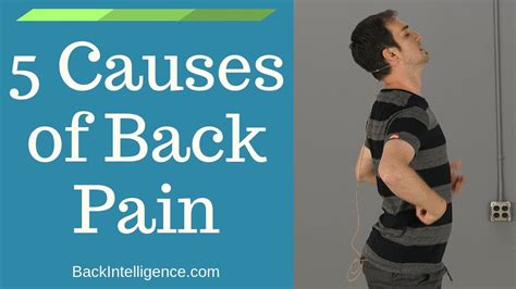 5 Common Causes Of Back Pain Global Massage Directory And Alternative