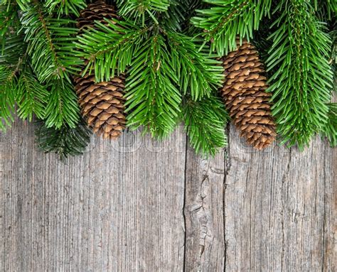 Christmas Tree Branches With Pine Stock Photo Colourbox