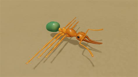 Antkeeper 3d Ant Colony Simulation Game 🔎🐜