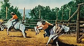 Bronco Buster - Film (1952) - SensCritique