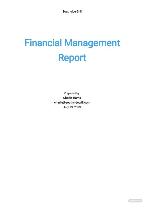 23 Free Financial Report Templates Edit And Download