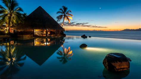 moon sunset resort palm trees reflection bar blue swimming pool french polynesia nature