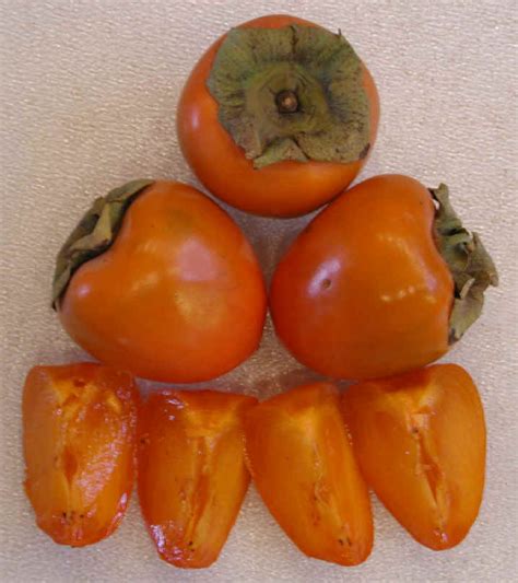 Persimmon Ingredients Descriptions And Photos An All