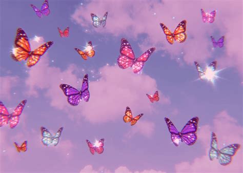 butterfly aesthetic wallpaper nawpic