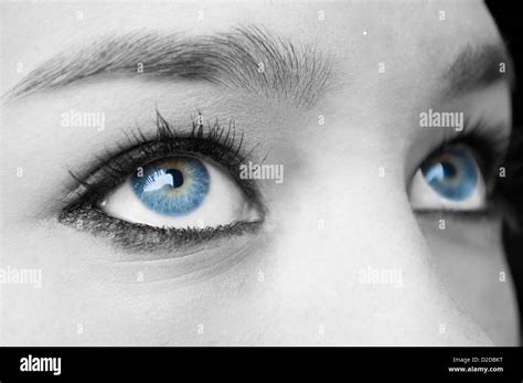 Female Blue Eyes Close Up View Stock Photo Alamy