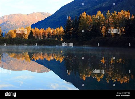 National Forests Alaska Hi Res Stock Photography And Images Alamy