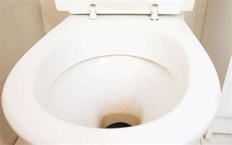 how to clean urine stains from a toilet bowl