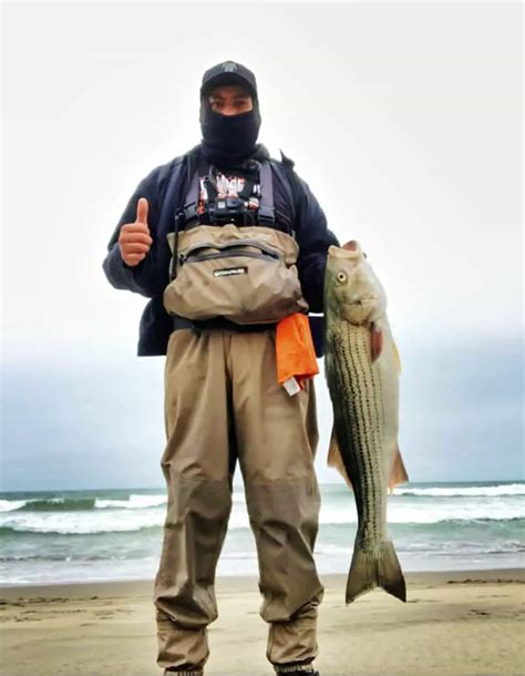 Surf Fishing Striped Bass Surfcasting Republic