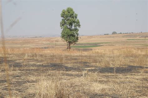 País Vai Ter órgão Nacional Para Combater Desertificação E Efeitos Da Seca Rede Angola