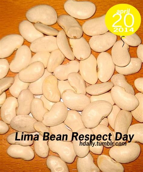 Lima Bean Respect Day Lima Bean Food Beans