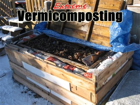 Extreme Vermicomposting Red Worm Composting