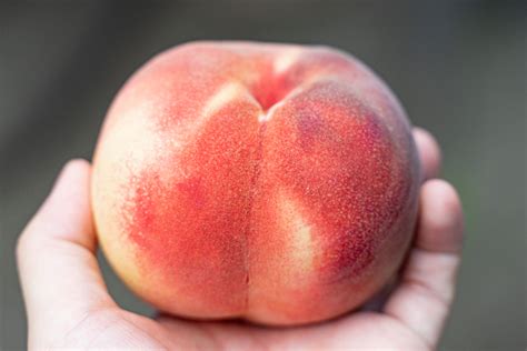 Fukushima Peaches Worthy Of The Praise Given To Them By Foreign