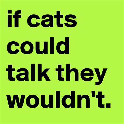 If Cats Could Talk They Wouldnt Post By Graceyo On Boldomatic