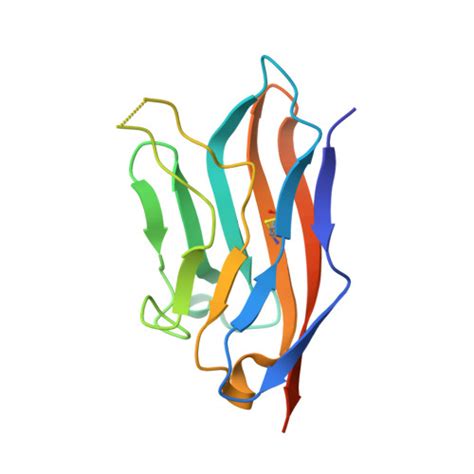 RCSB PDB V Structure Of TIGIT Bound To Nectin CD