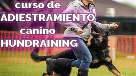 Curso De Adiestramiento Canino Online Sistema Hundraining Youtube