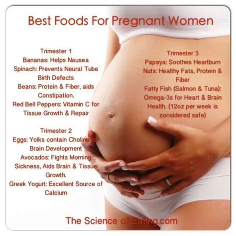Sound nutrition during pregnancy is a great gift to the health of both mother and child. Best foods for pregnant women | Pregnancy | Pinterest ...