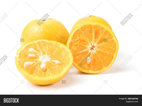 Fresh Oranges Full Image And Photo Free Trial Bigstock