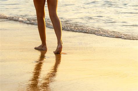 Legs Of Young Woman Walking Along Beach During Sunset Womenand X27s Feet Walk Barefoot Along