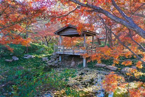 Where To Find Fall Foliage And Fall Colors In Dallas Fort Worth • Outside