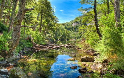 1400x875 Nature Landscape River Forest Mountain Water Reflection