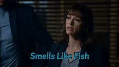 Smells Fishy Something Giphy Angie Tribeca Gifs