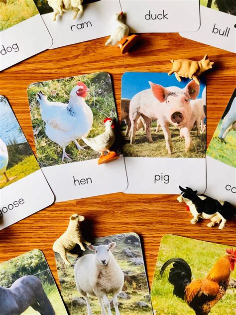 Free Montessori Printables Animals