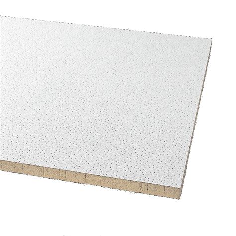 Armstrong Ceilings Common 48 In X 24 In Actual 47813 In X 23813