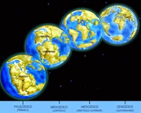 Evolución De La Tierra Y De La Vida Timeline Timetoast Timelines