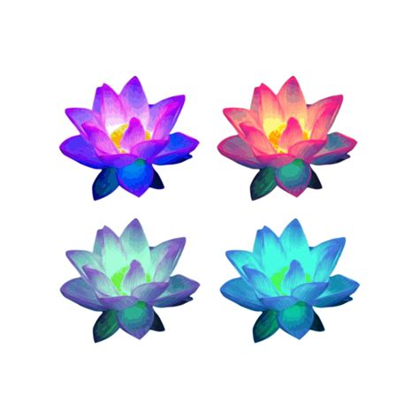 Lotus Clipart 20 Free Cliparts Download Images On Clipground 2024