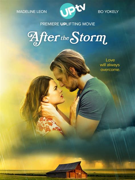 After The Storm Movie Reviews