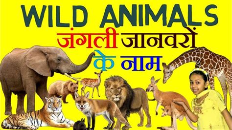 Wild Animals Name In Hindi And English जंगली जानवरों के नाम Animals