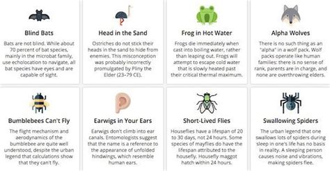 Infographic 100 Most Common Myths And Misconceptions Debunked