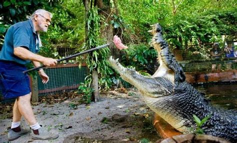 Happy Birthday Worlds Biggest Crocodile Atlas Obscura