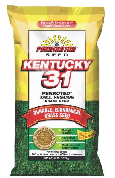 Pennington 100516050 Kentucky 31 Tall Fescue Penkoted Grass Seed 5 Lb