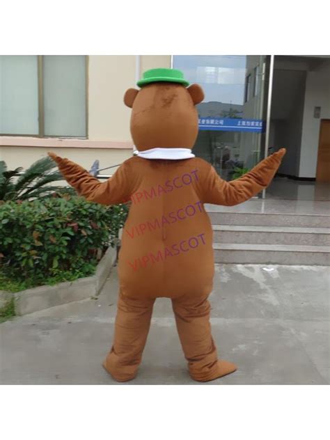 Yogi Bear Mascot Costume Cartoon Theme Fancy Dress Carnival Halloween