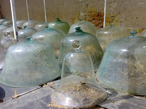 Teachitprimary Gallery Bell Jars