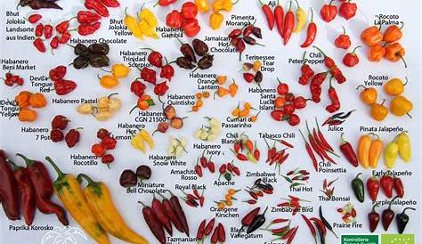 Meat Cooking Chart, Cooking Recipes, Hot Pepper Chart, Chilli Pepper