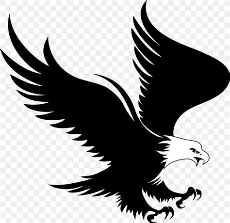Bald Eagle Logo Royalty Free Png 2048x1993px Bald Eagle Beak Bird