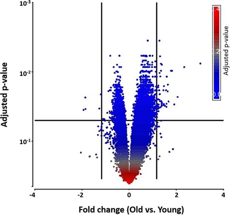 A Volcano Plot That Shows Differentially Expressed Genes With