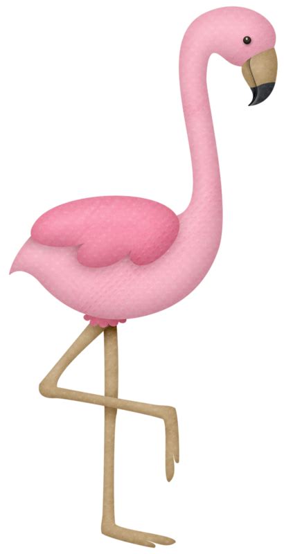 Luau Clipart Flamingo Luau Flamingo Transparent Free For Download On