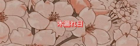 Cherry Blossom Anime Cute Twitter Headers Cover Photos Art Wallpaper